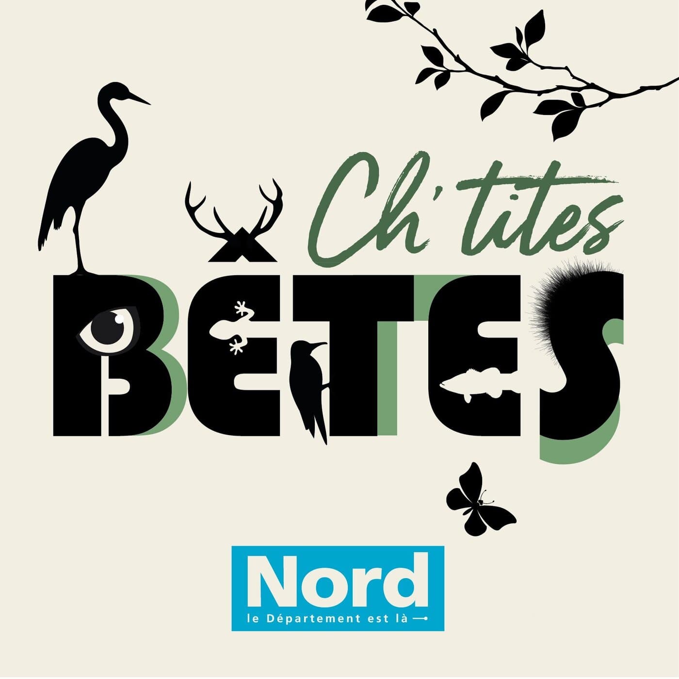 Ch'tites bêtes - Podcasts