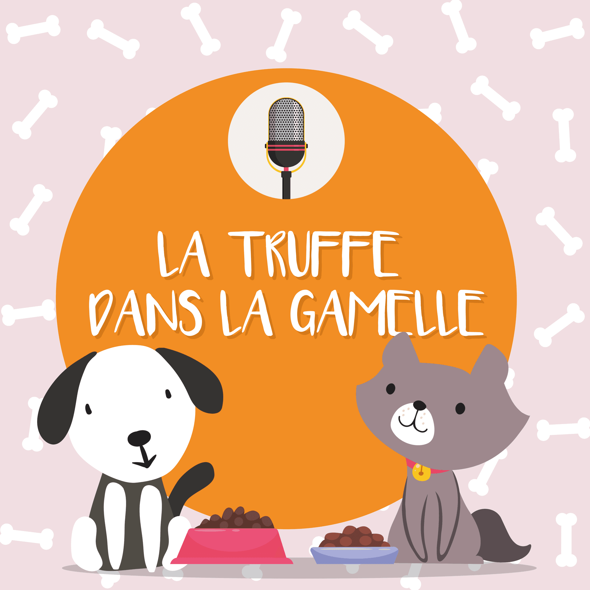 La Truffe dans la Gamelle - Podcasts