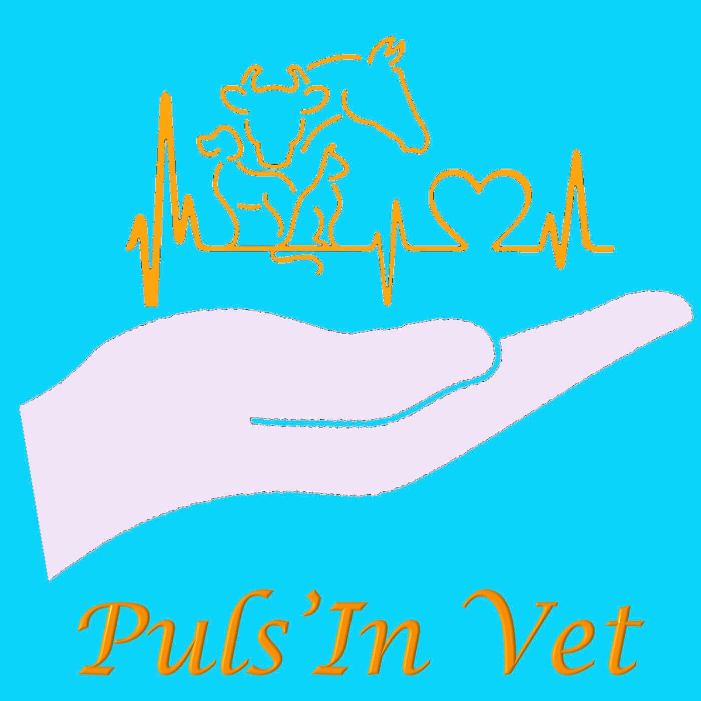 Puls'In Vet - Podcasts