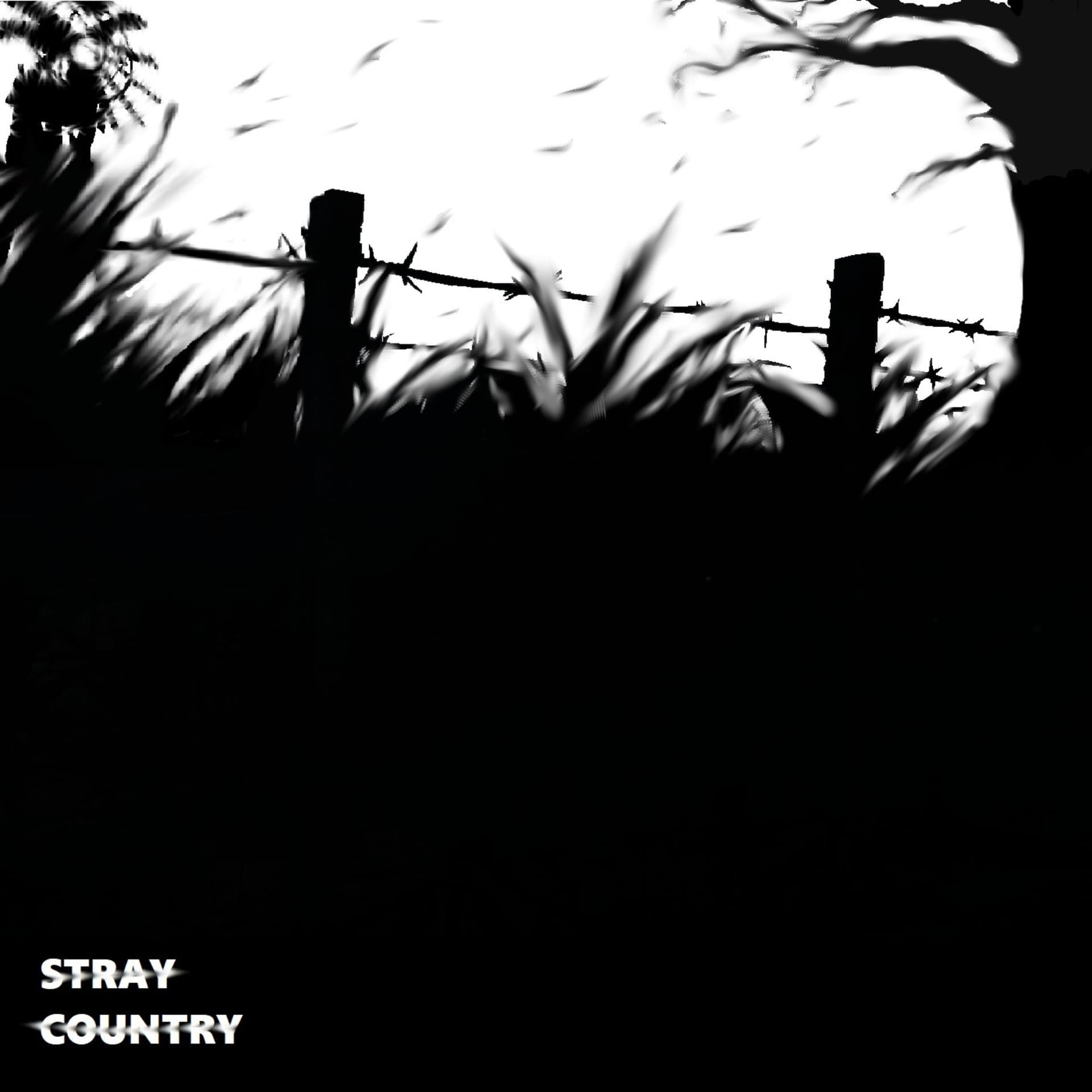 STRAY COUNTRY - Podcasts