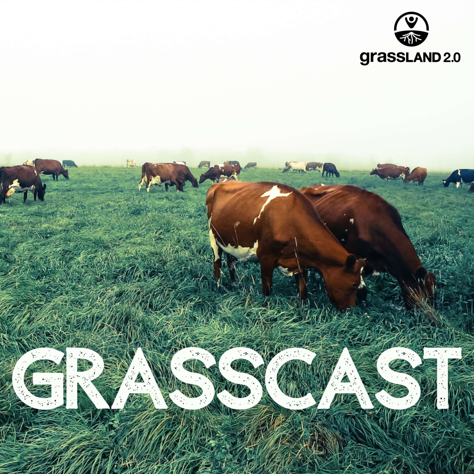 GrassCast - Podcasts