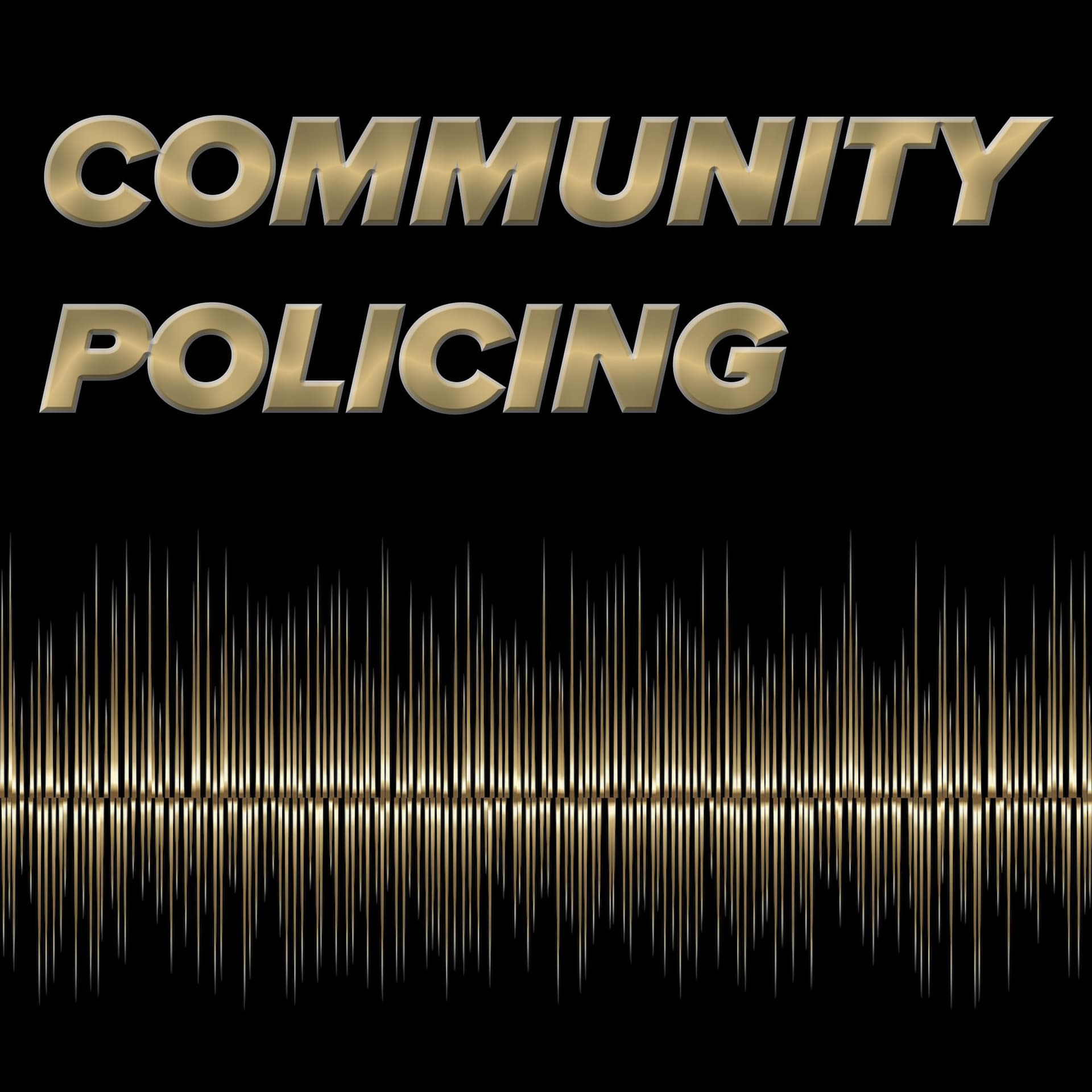 Community Policing with Chief James Gallagher - Podcasts