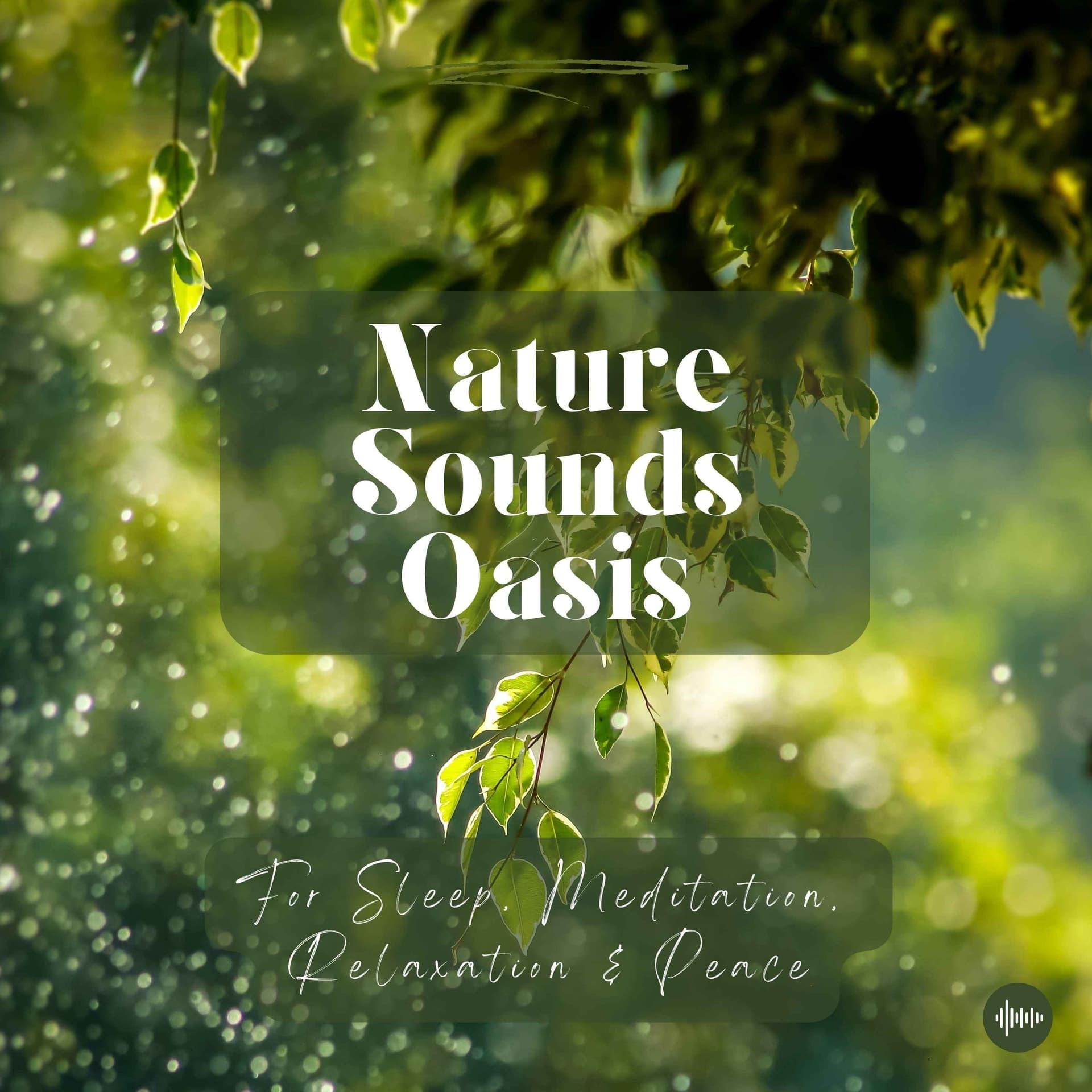 Nature Sounds Oasis | Relaxing Nature Sounds For Sleep, Meditation, Relaxation Or Focus | Sounds Of Nature | Sleep Sounds, Sleep Music, Meditation Sounds, Ocean Waves, Rain, White Noise & More - Podcasts