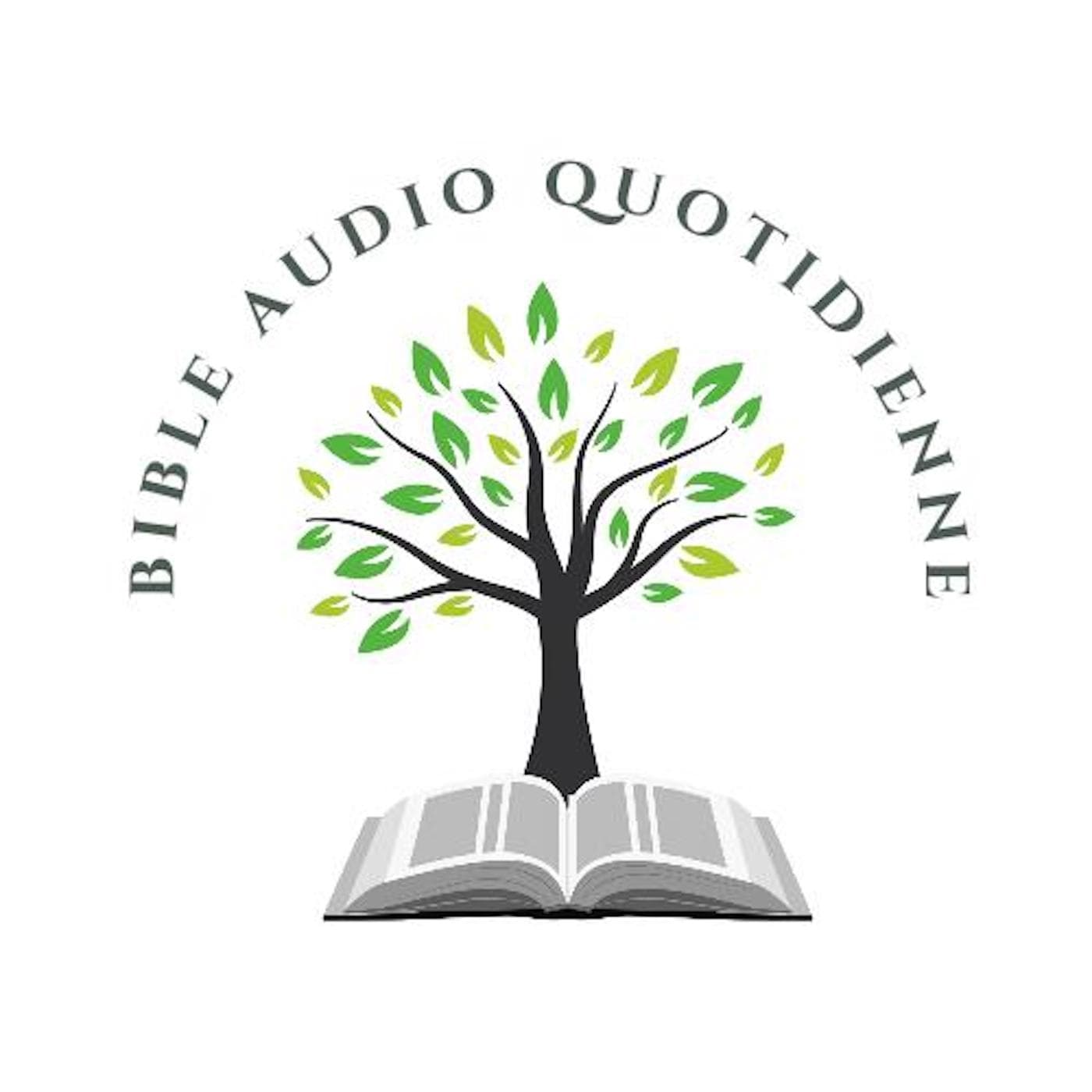 Bible Audio Quotidienne (French Audio Bible) - Podcasts