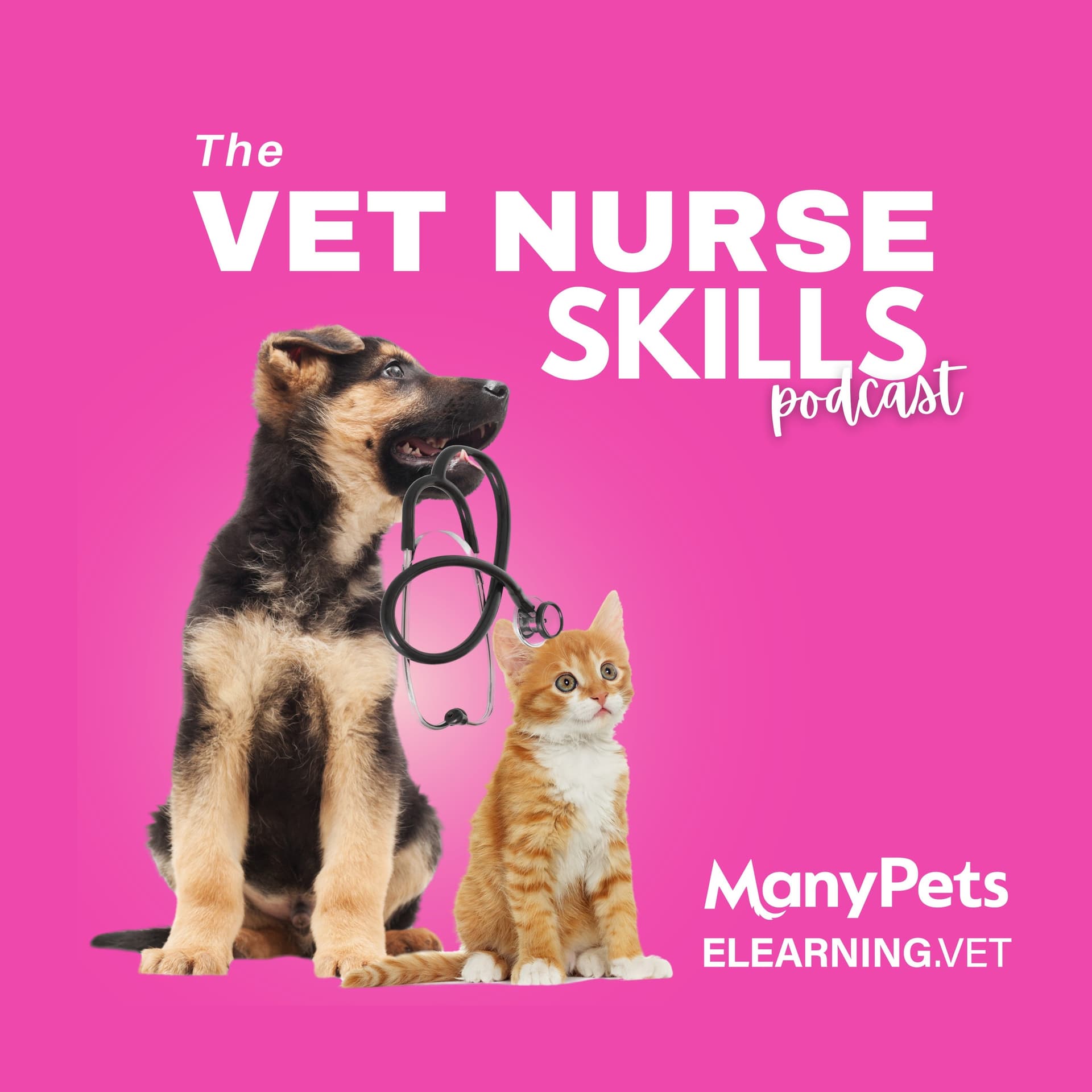 The Vet Nurse Skills Podcast - Podcasts