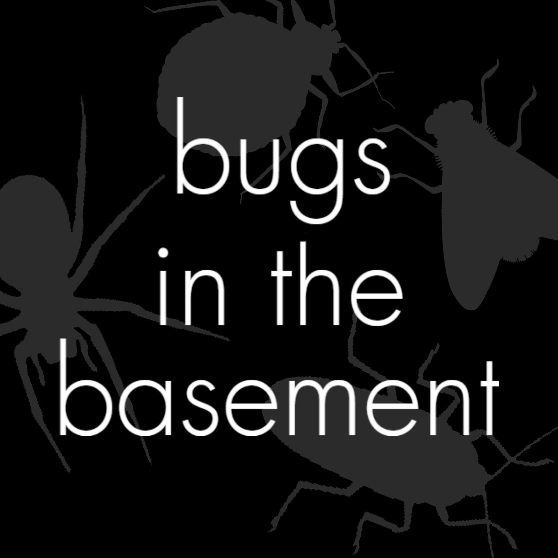 Bugs In The Basement - Podcasts