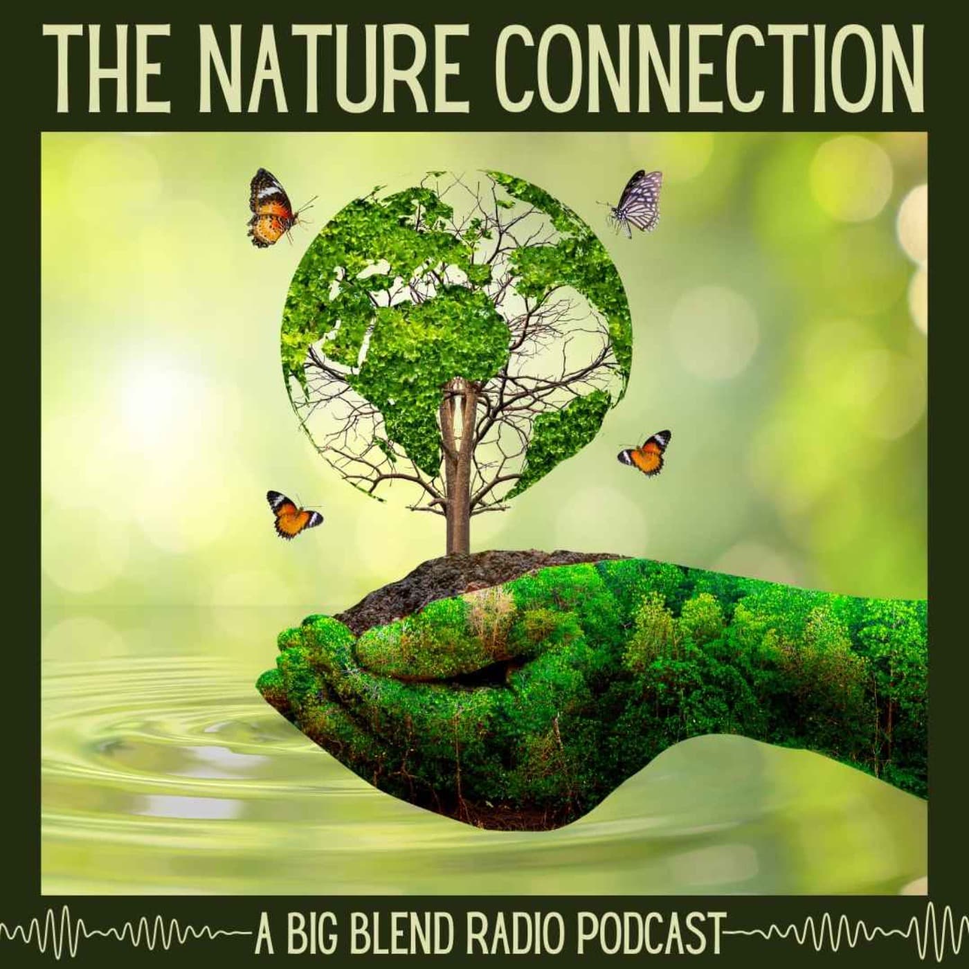 Nature Connection Radio - Podcasts
