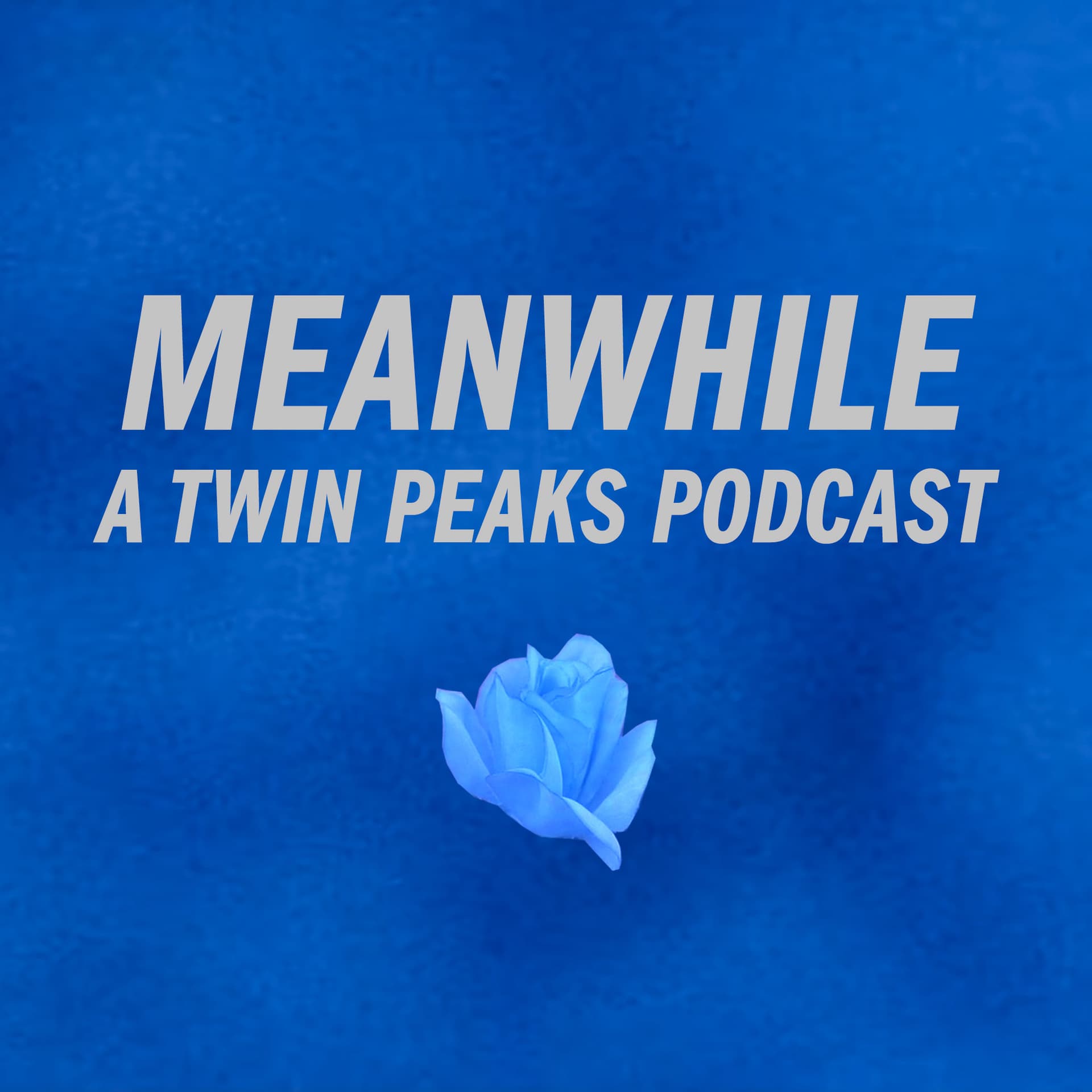 Meanwhile: A Twin Peaks Podcast - Podcasts