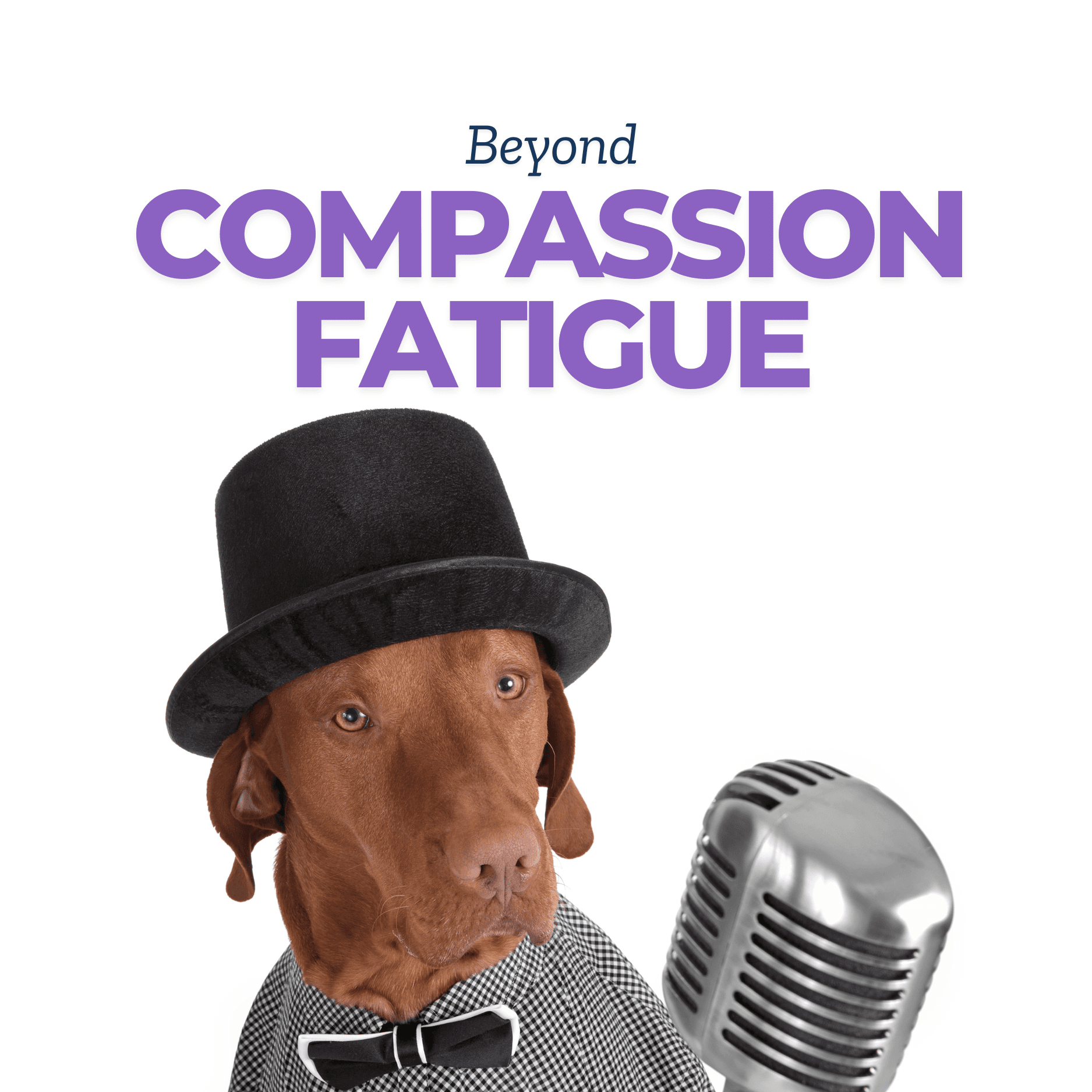 Beyond Compassion Fatigue: Make Your Passion for Helping Animals Sustainable! - Podcasts