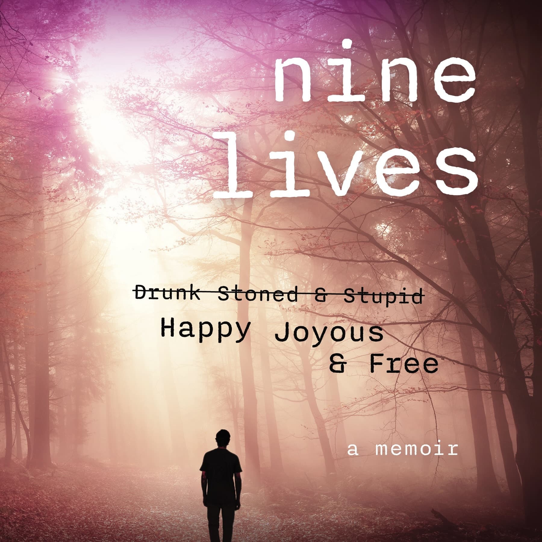 9 Lives - Drunk Stoned and Stupid to Happy Joyous and Free - Podcasts