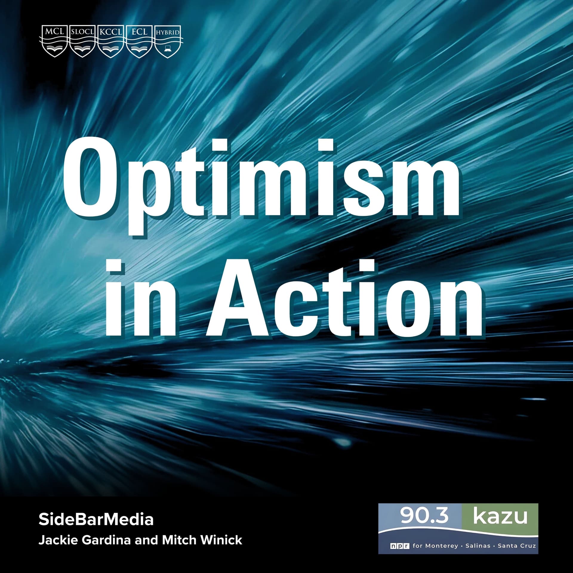 SideBar: Optimism In Action - Conversations with Community Leaders Inspiring Positive Change - Podcasts