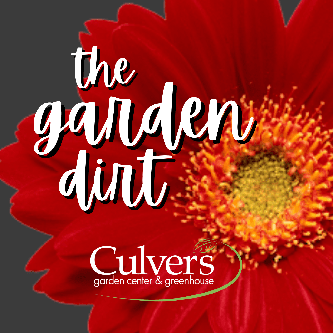 The Garden Dirt - Podcasts
