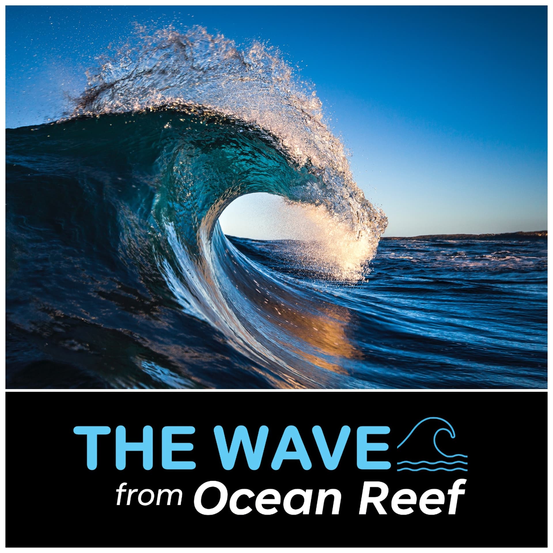 The Wave from Ocean Reef