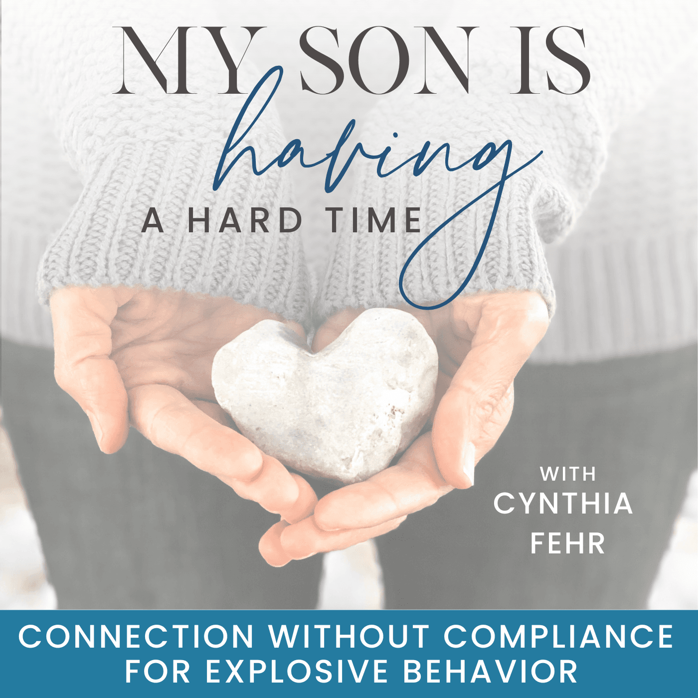My Son Is Having A Hard Time | Meltdowns | Isolation | Aggression | Autism - Podcasts