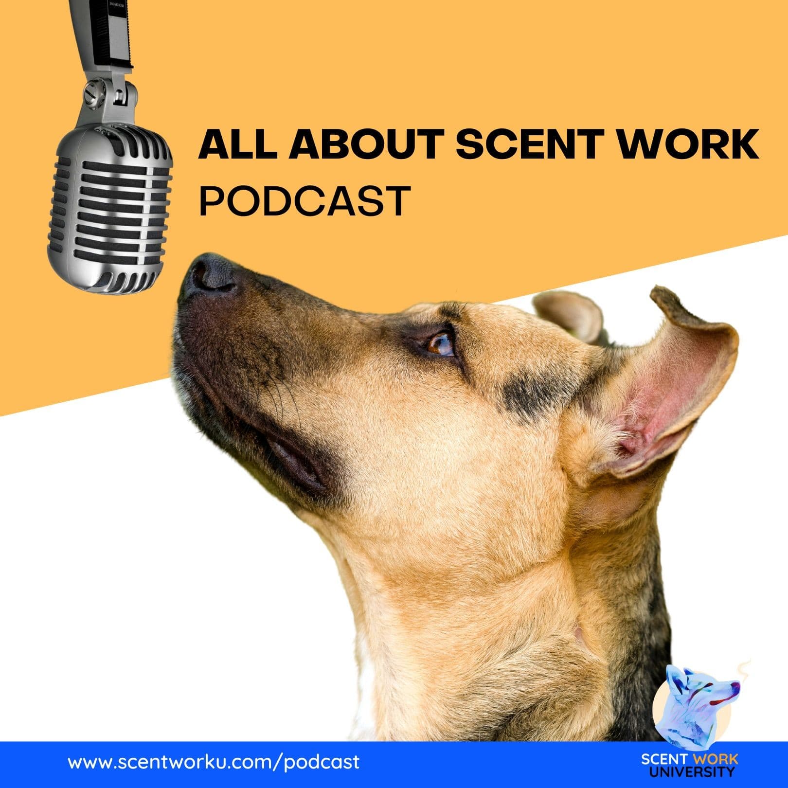 All About Scent Work Podcast - Podcasts