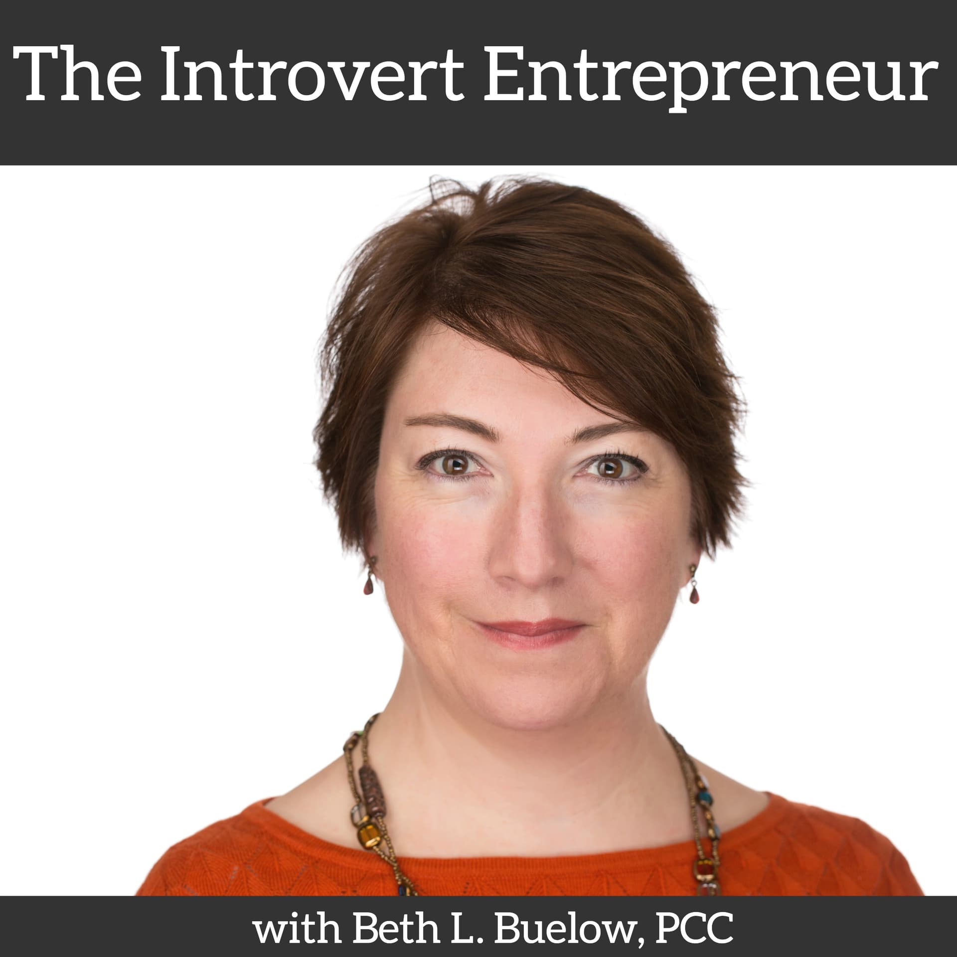 The Introvert Entrepreneur - Podcasts