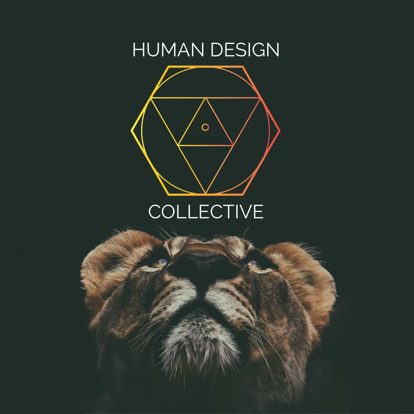 Human Design Collective Podcast - Podcasts