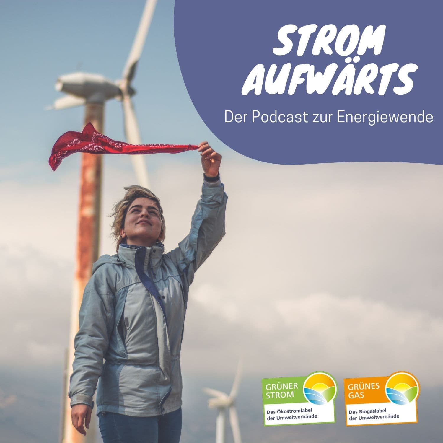 Strom Aufwärts - Der Podcast zur Energiewende - Podcast