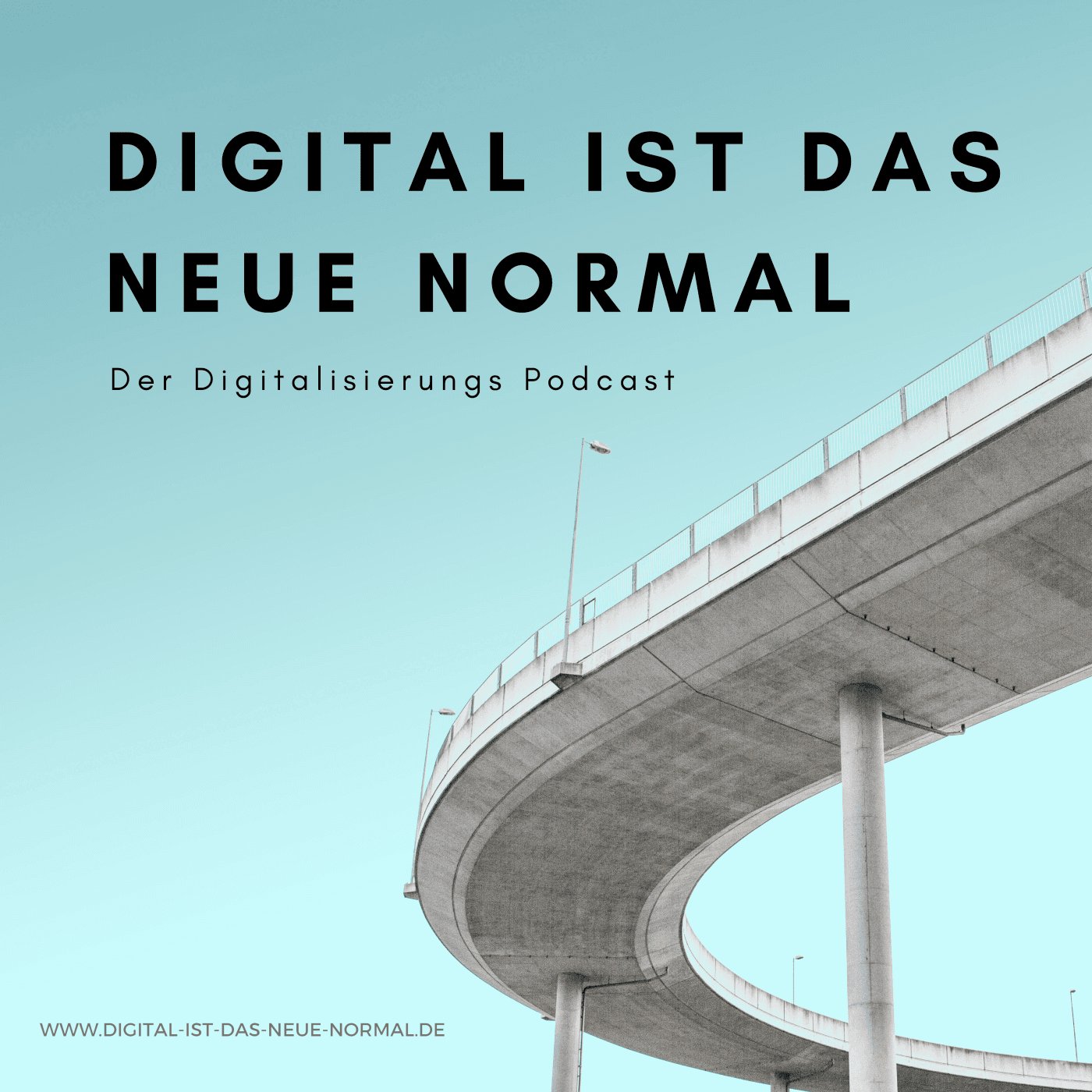 Digital ist das Neue Normal - Der Digitalisierungspodcast - Podcasts