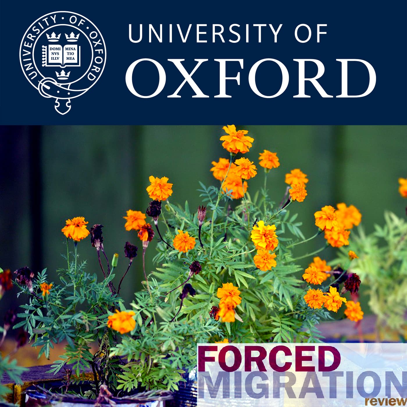Local communities: first and last providers of protection (Forced Migration Review 53) - Podcast