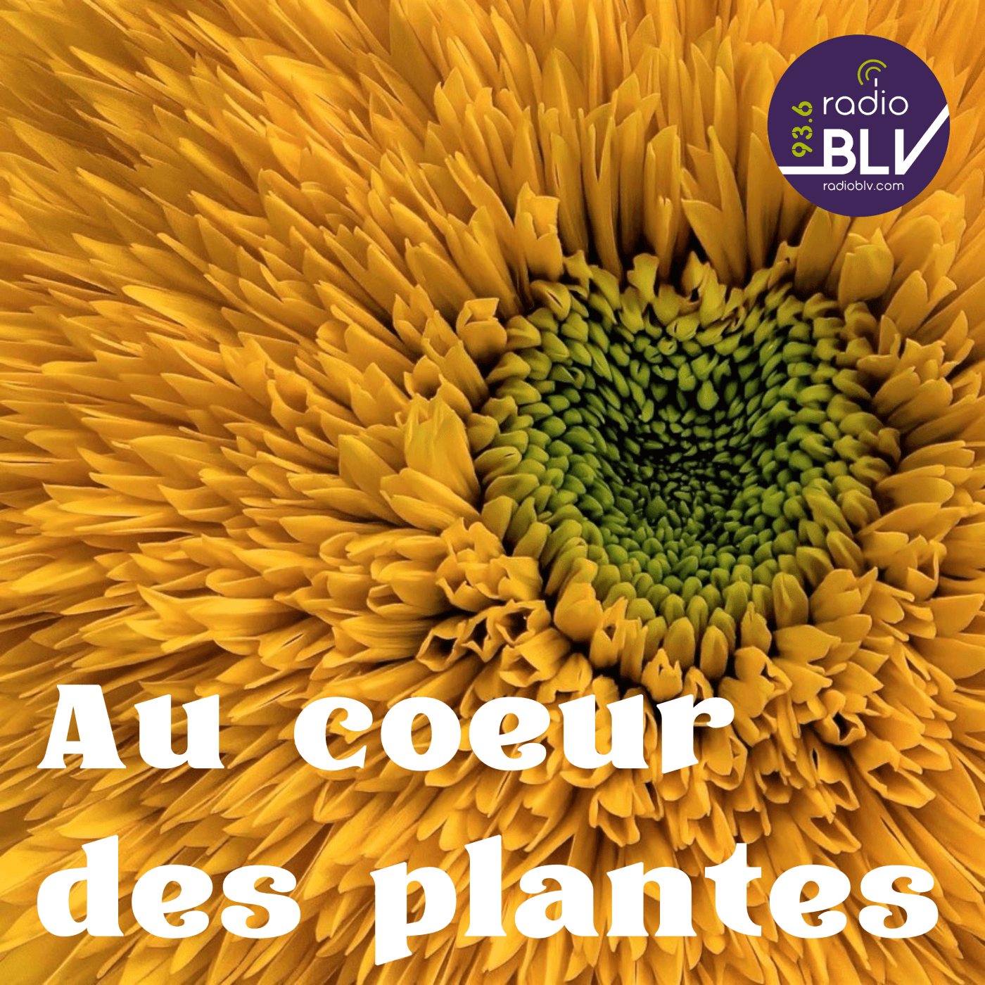 Au cœur des plantes - Podcasts