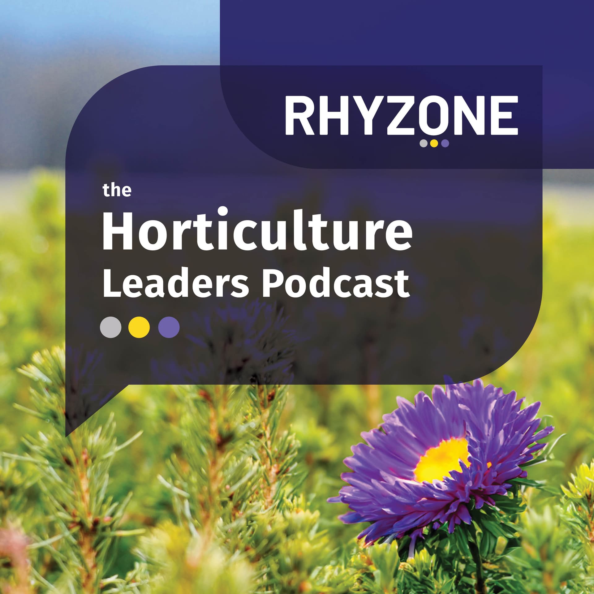 Rhyzone Podcast - Podcasts
