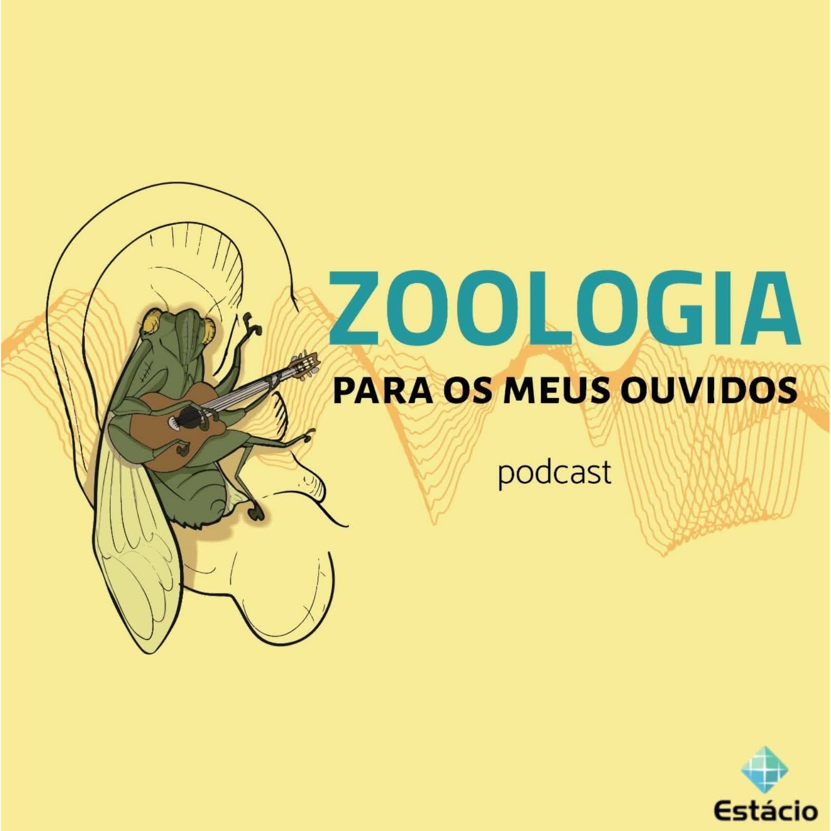 Zoologia para os meus ouvidos - Podcasts