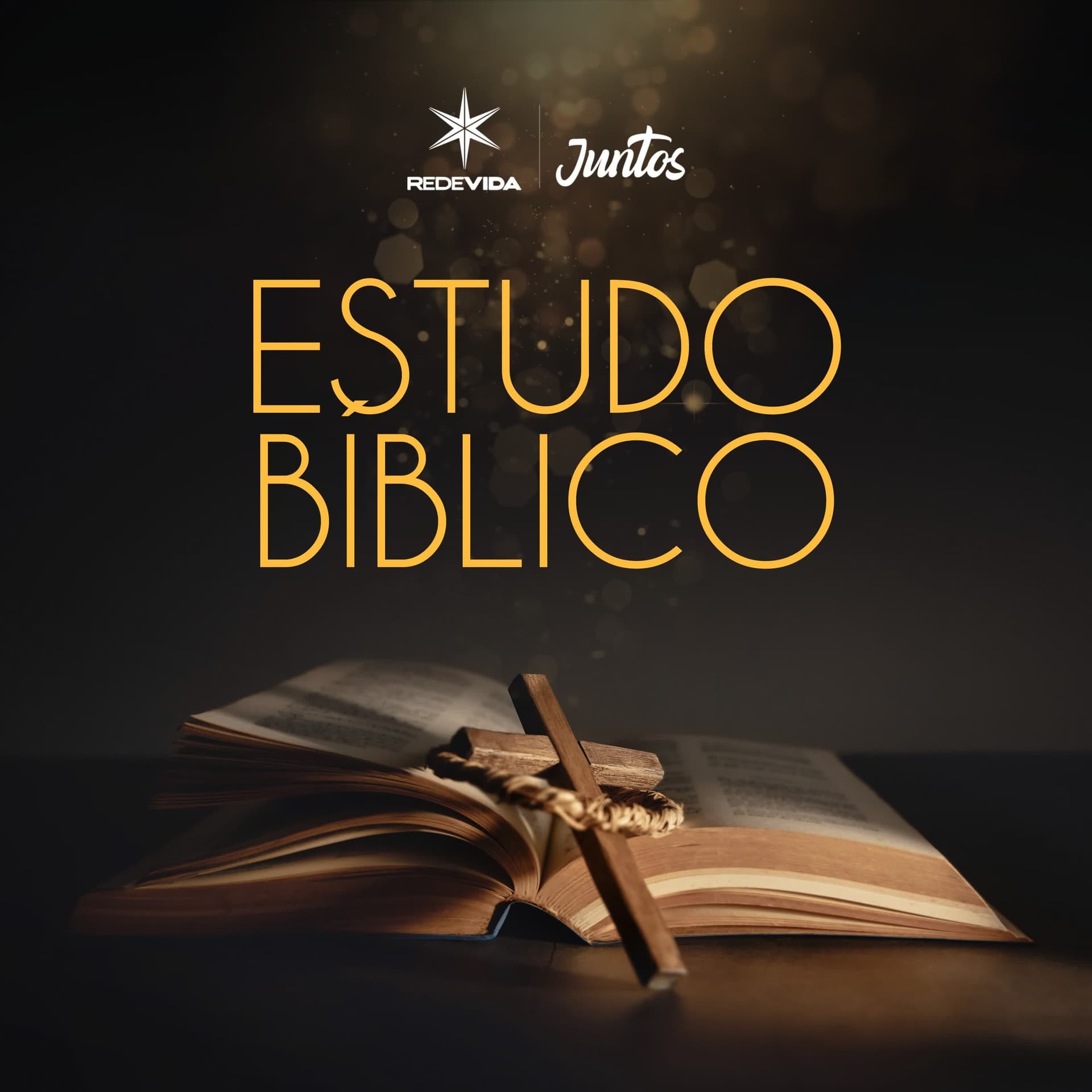 Estudo Bíblico | Padre Halisson Parro - Podcast