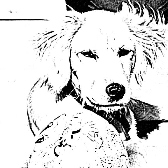 Cringe Comixx.com Channel - Podcasts