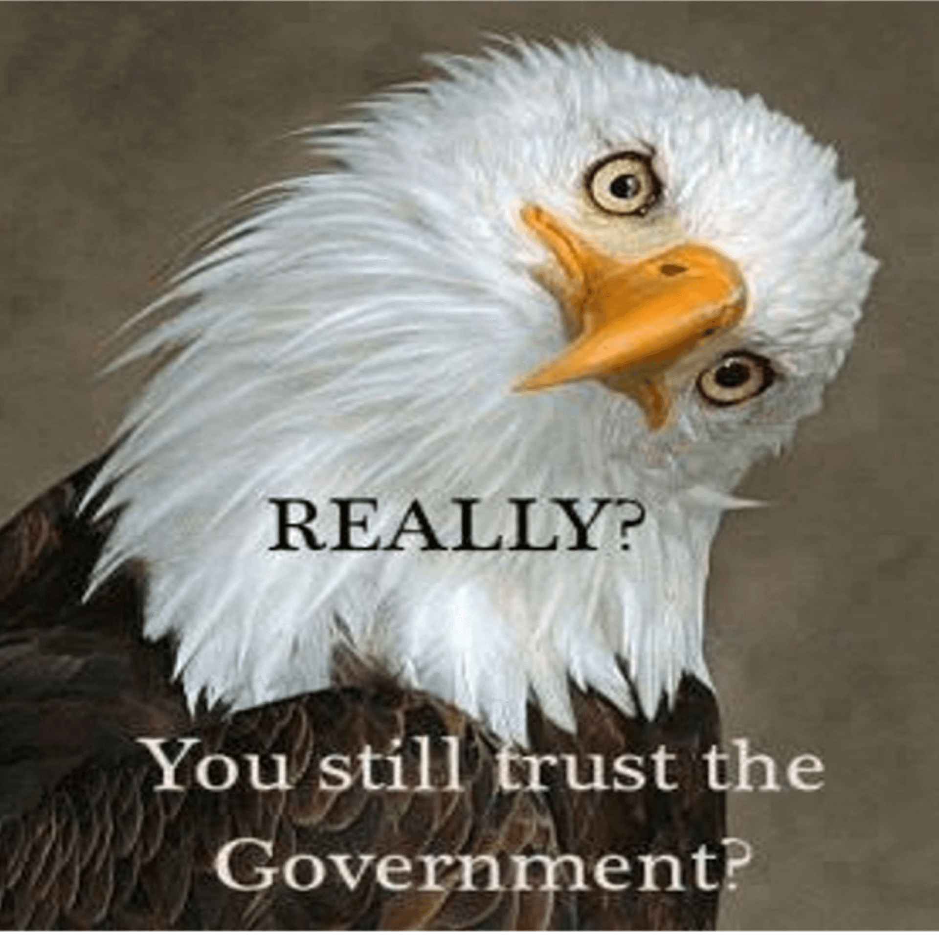 American Liberties - Podcasts