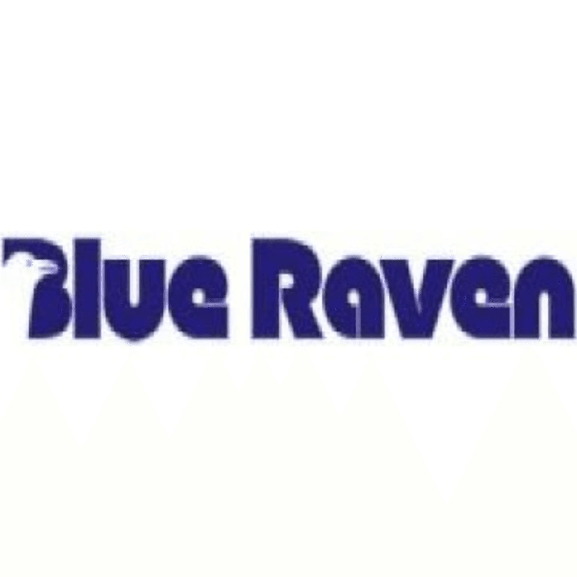 BlueRavenNetwork - EndtimesRADIO - Podcasts