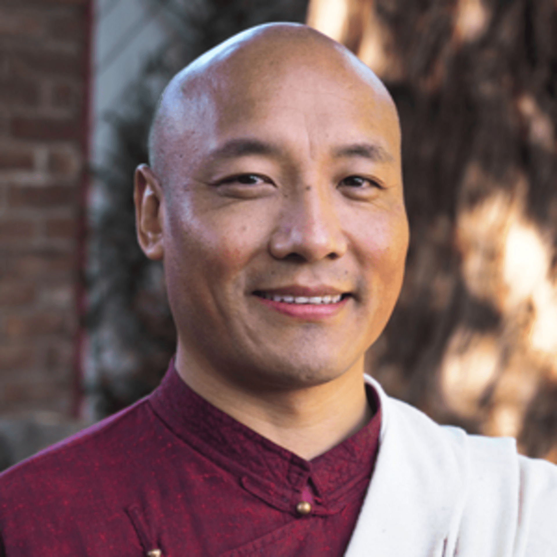 Anam Thubten WF 2016 - Podcasts