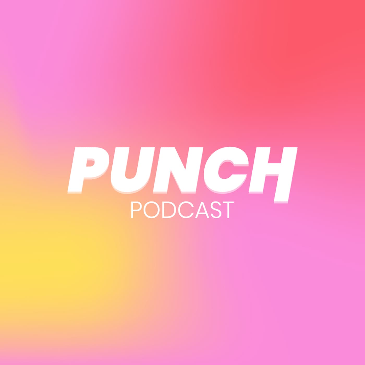 PUNCH, « Pour Un Numérique Critique et Humain » - Podcasts