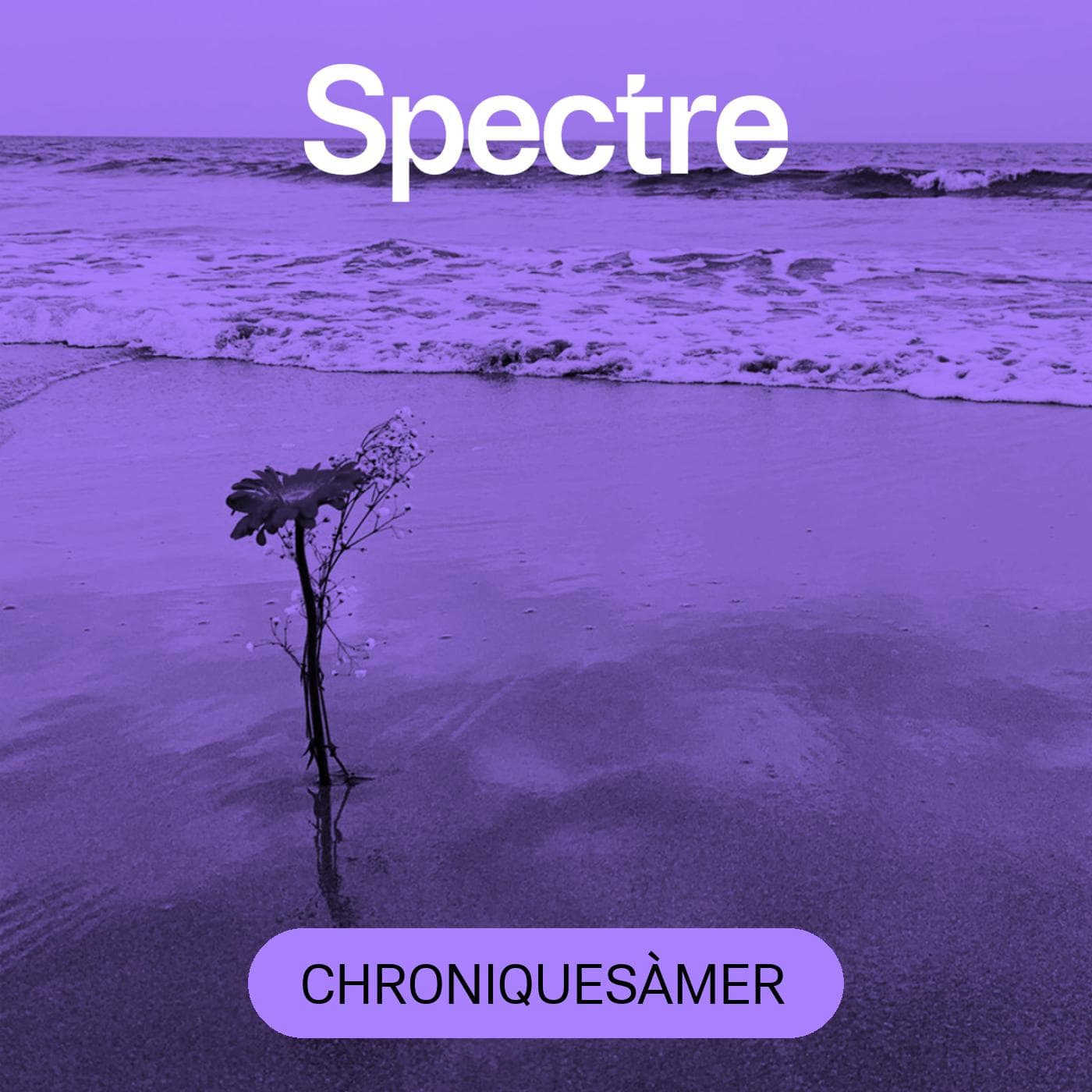 Chroniques àMER - Podcasts