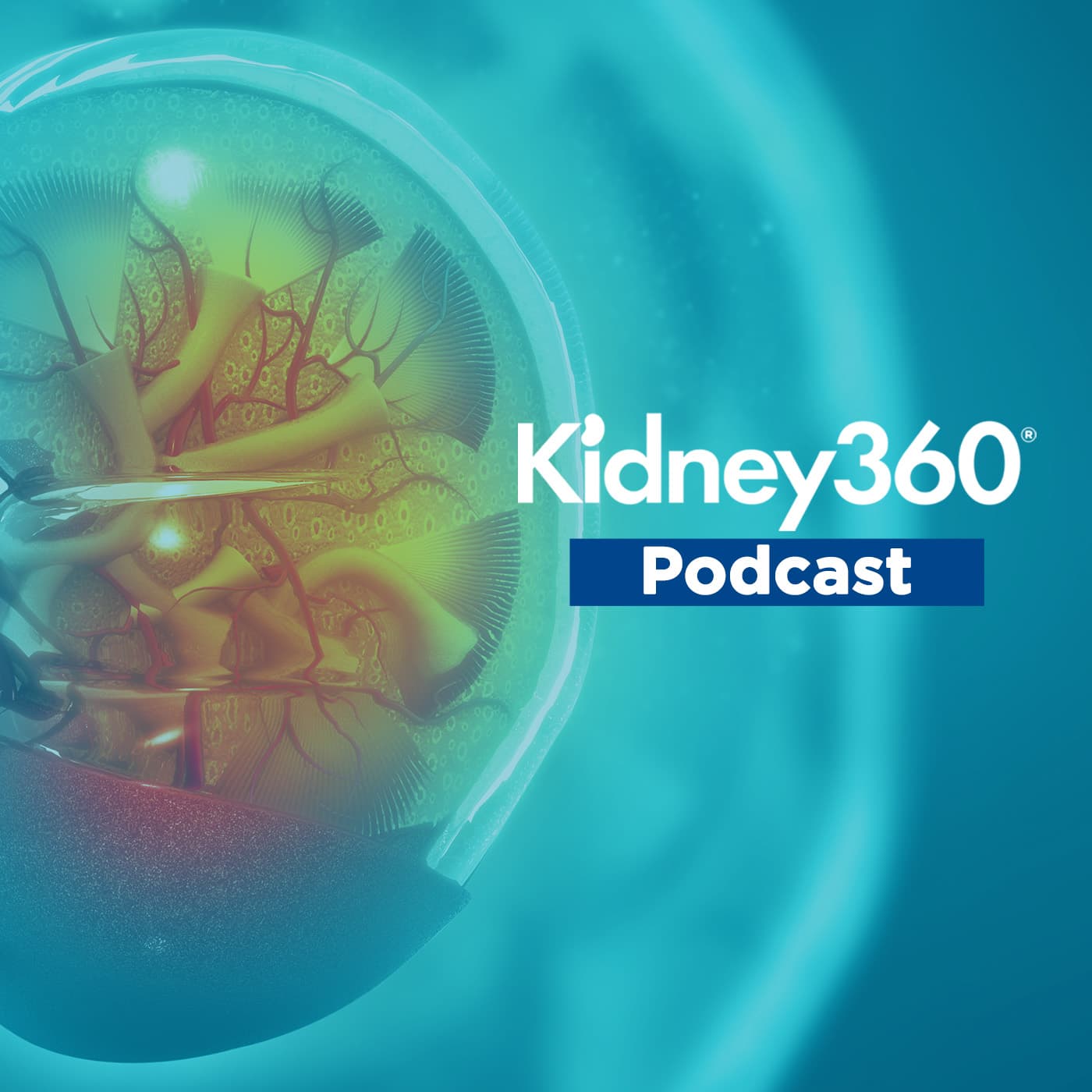 Kidney360 Podcast - Podcasts