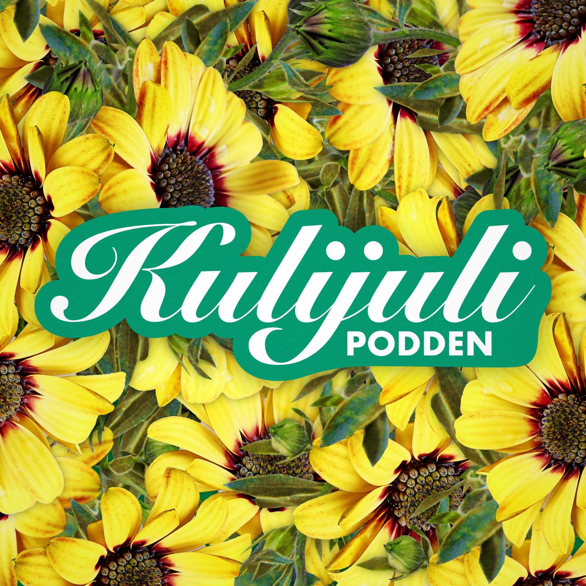 Kulijulipodden - Podcasts