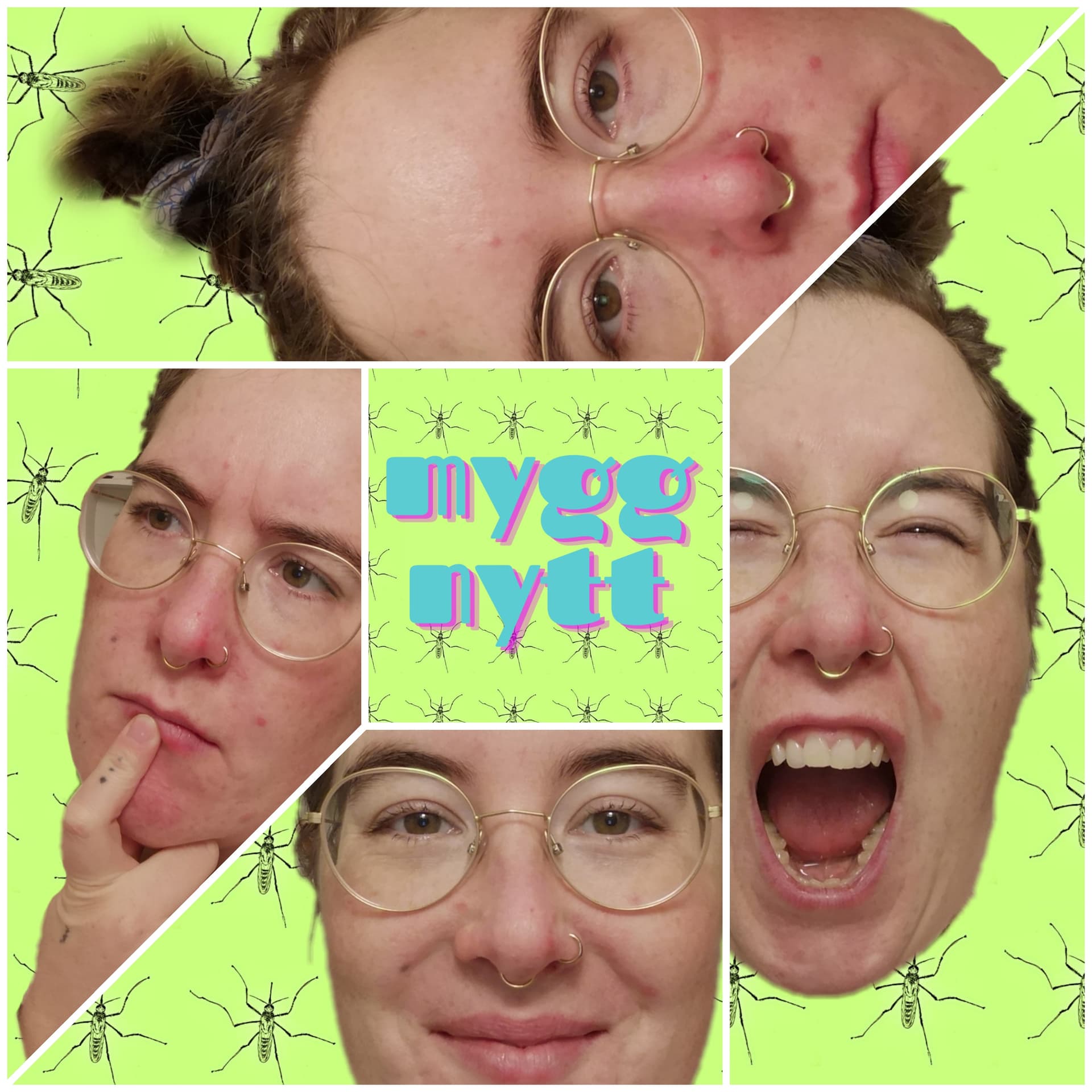 myggnytt