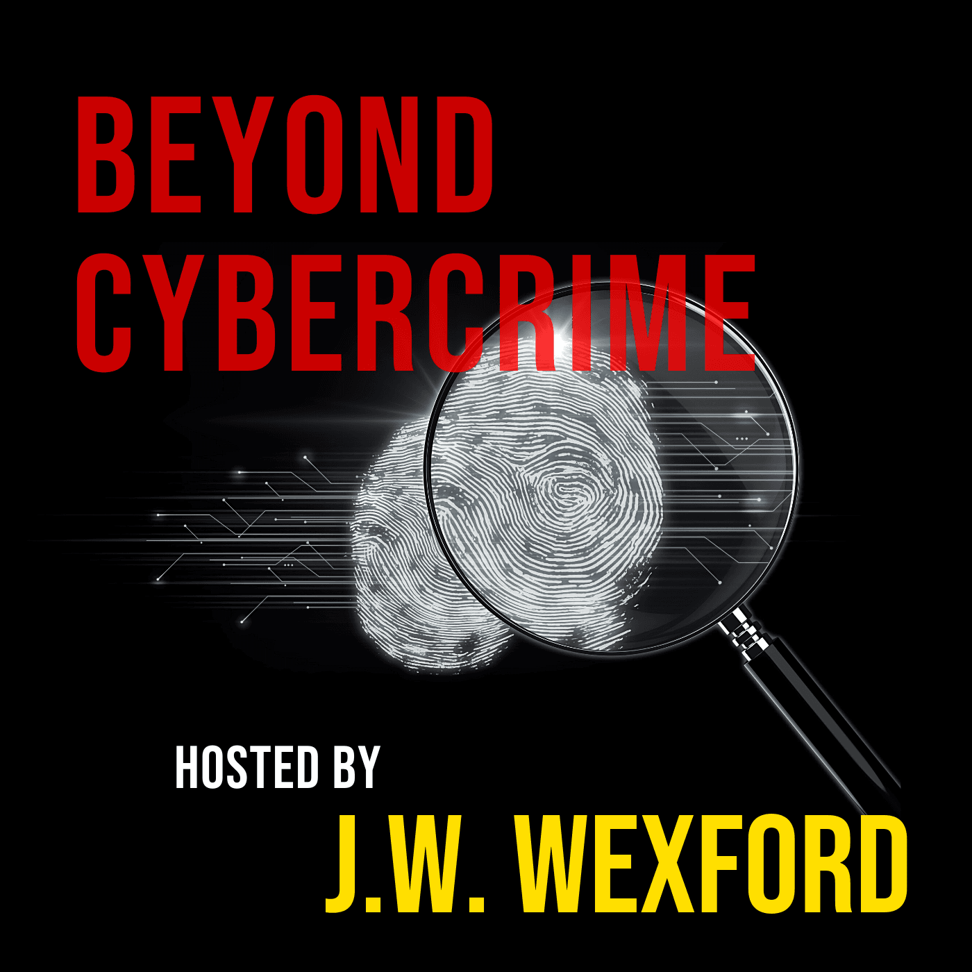 Beyond Cybercrime with J.W. Wexford - Podcasts