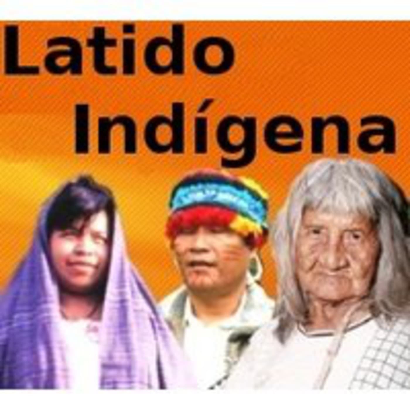 Podcast Programa Radiofonico Latido Indigena - Podcasts
