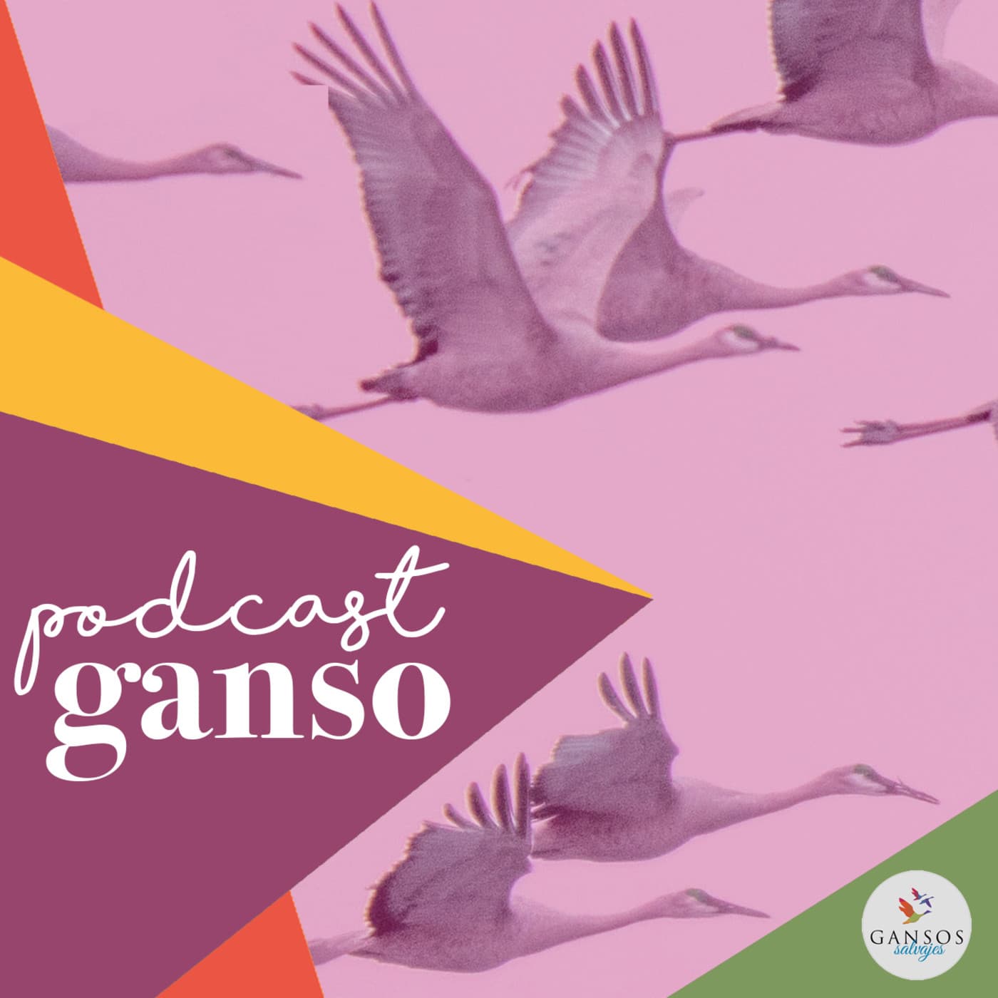 PODCAST GANSO - Podcasts