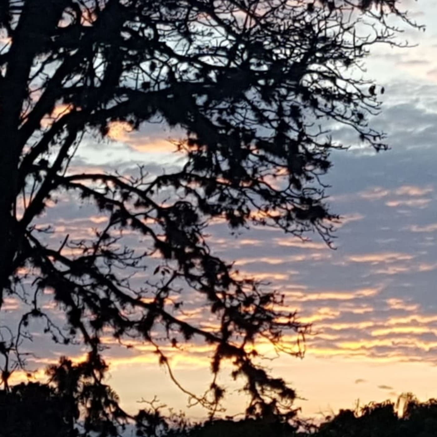 Meditaciones y Eneagrama - Podcasts