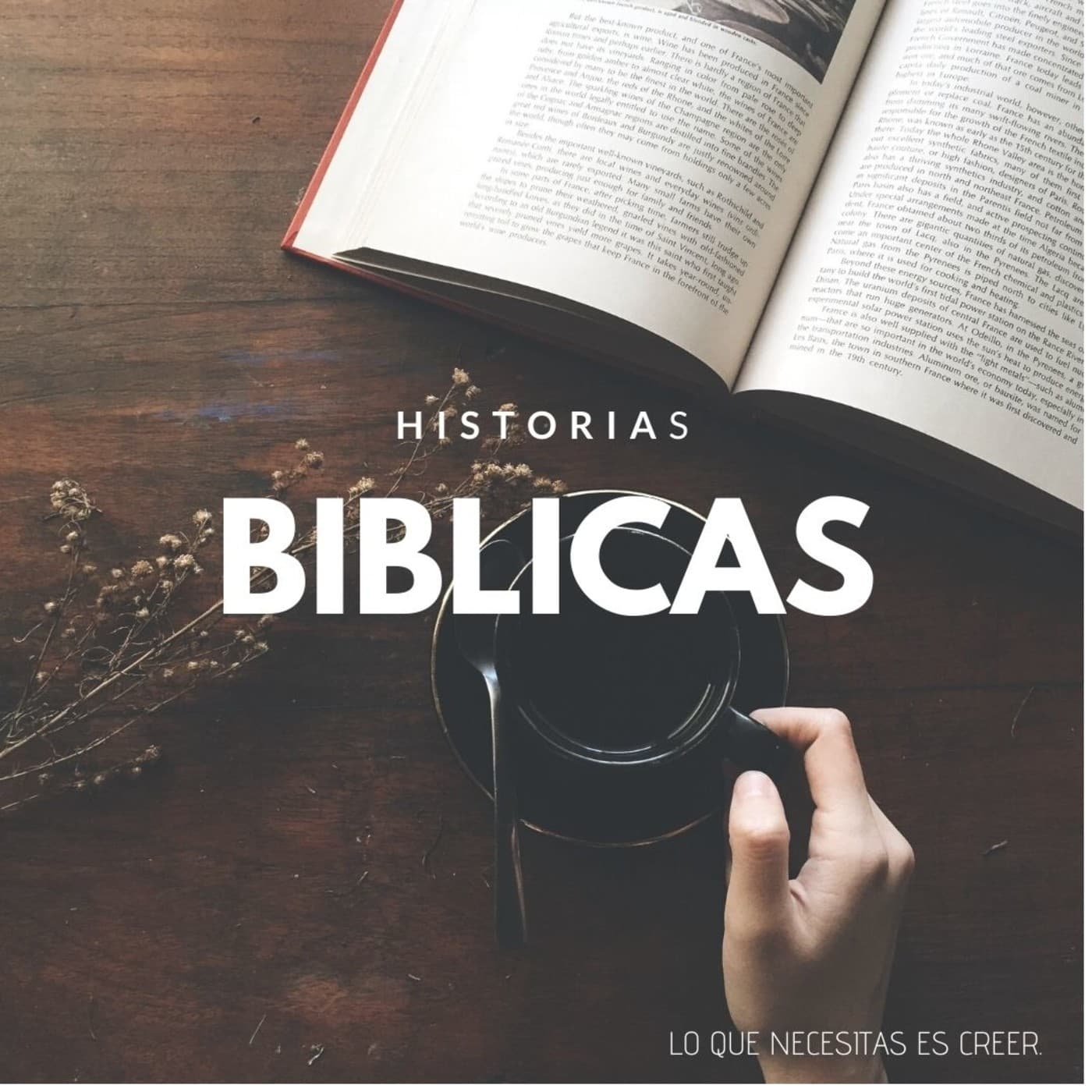 HISTORIAS BÍBLICAS - Podcasts
