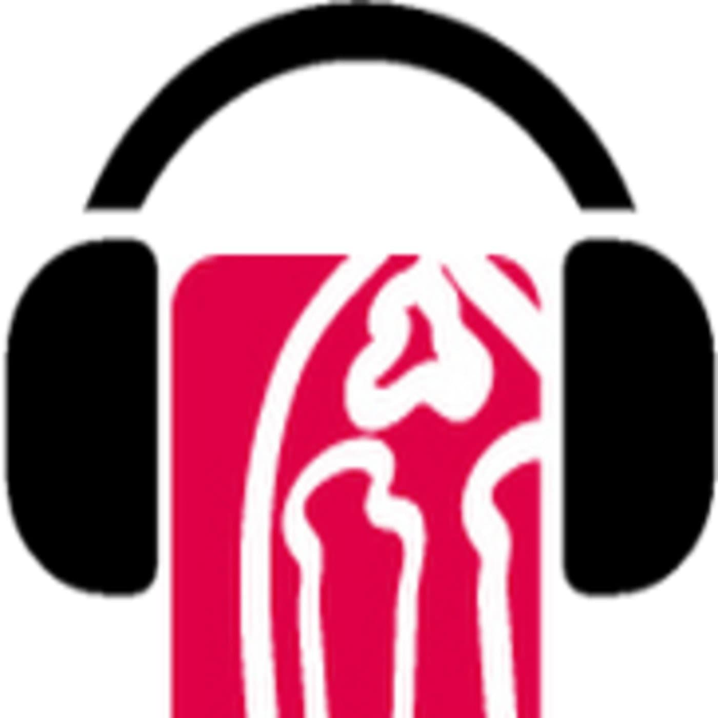 gòTIC Ràdio - Podcasts