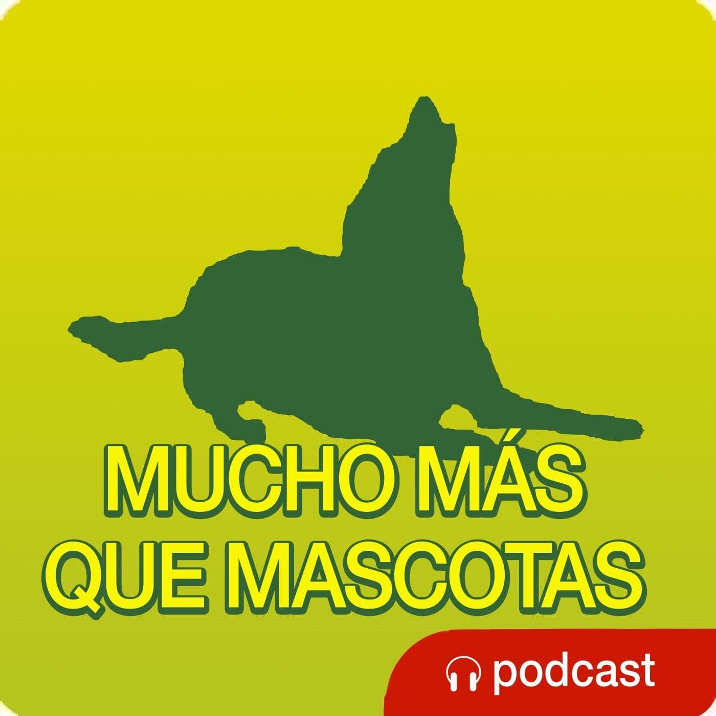 Mucho más que mascotas - Podcasts