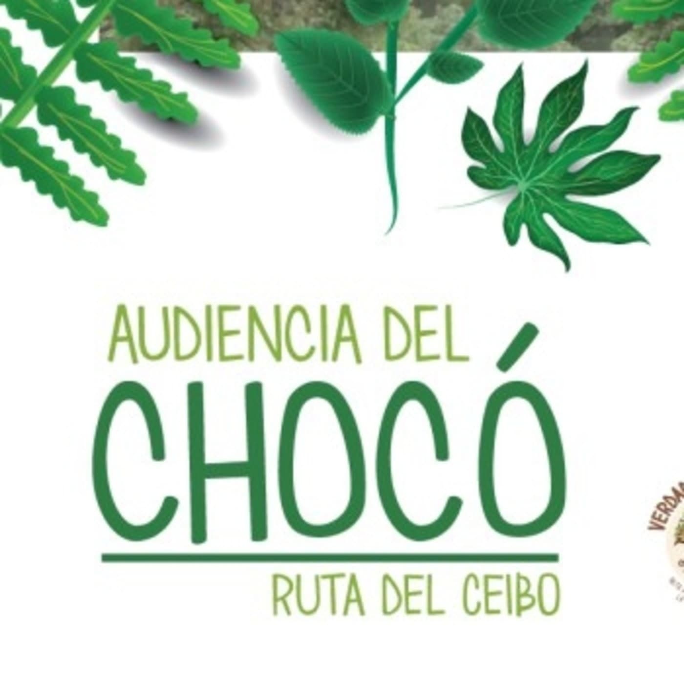 Audiencia del Chocó - Podcasts