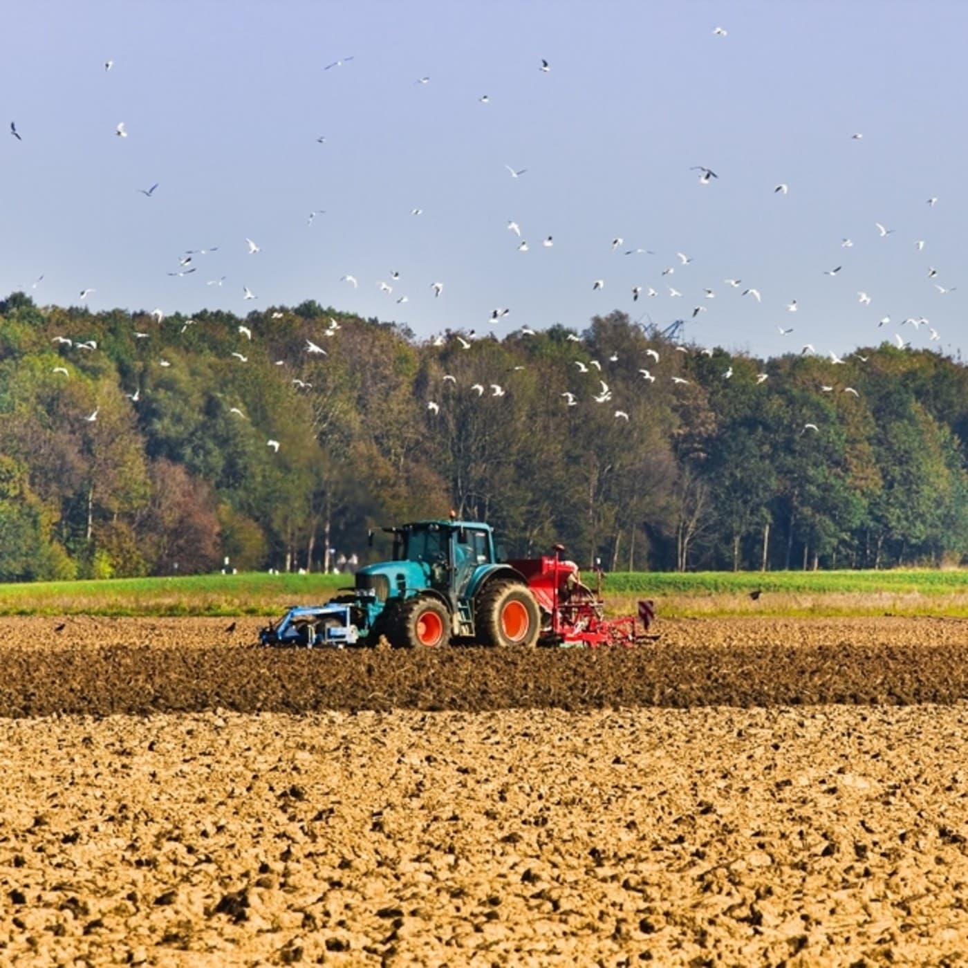 Política Agraria, Política Natural -Europea Radio - Podcasts