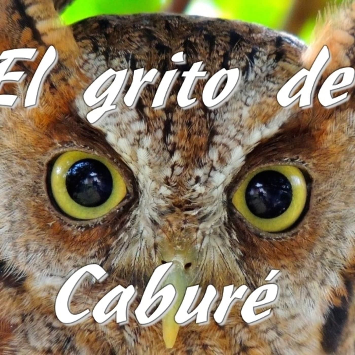 EL GRITO DEL CABURE - Podcasts