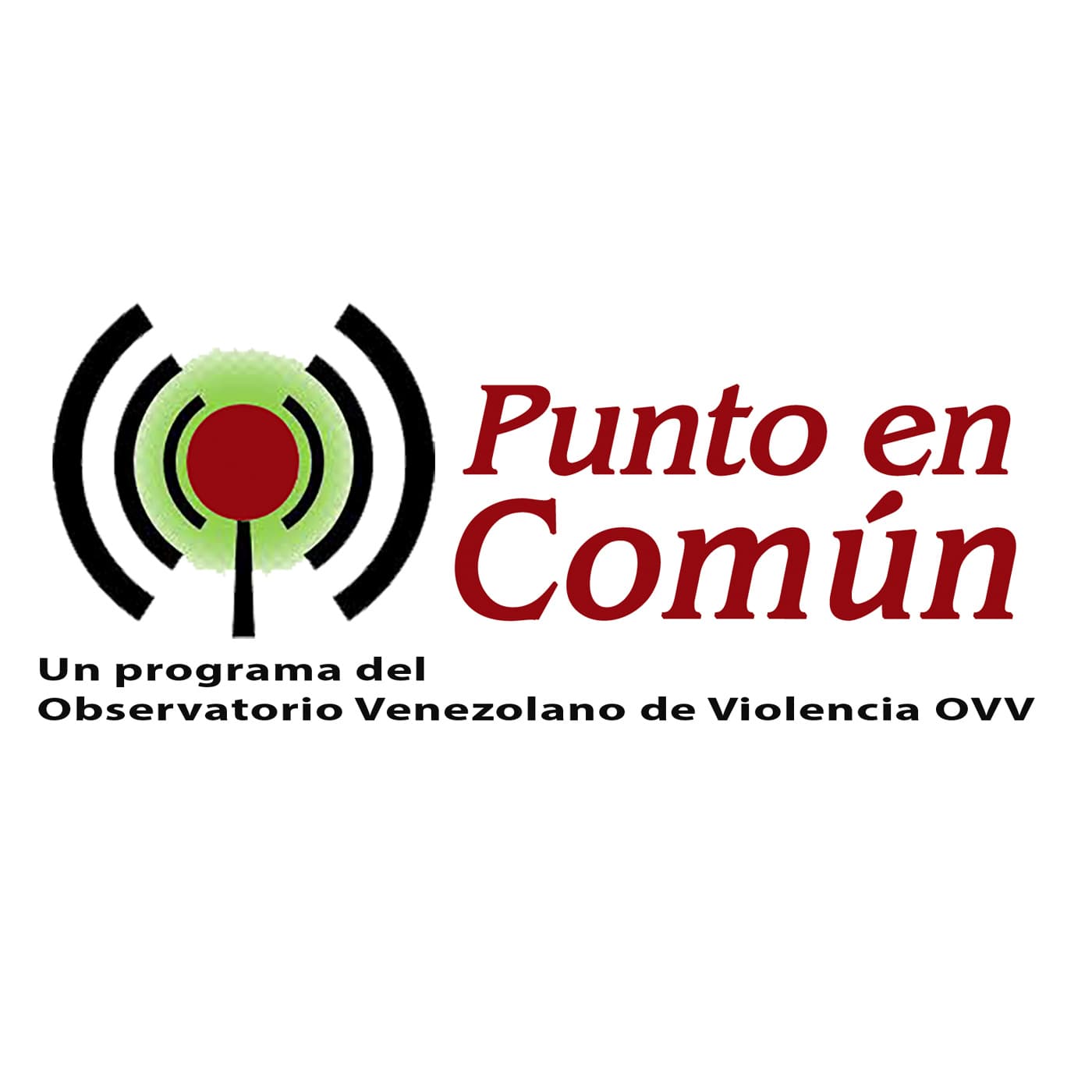 Punto en Común - Podcasts
