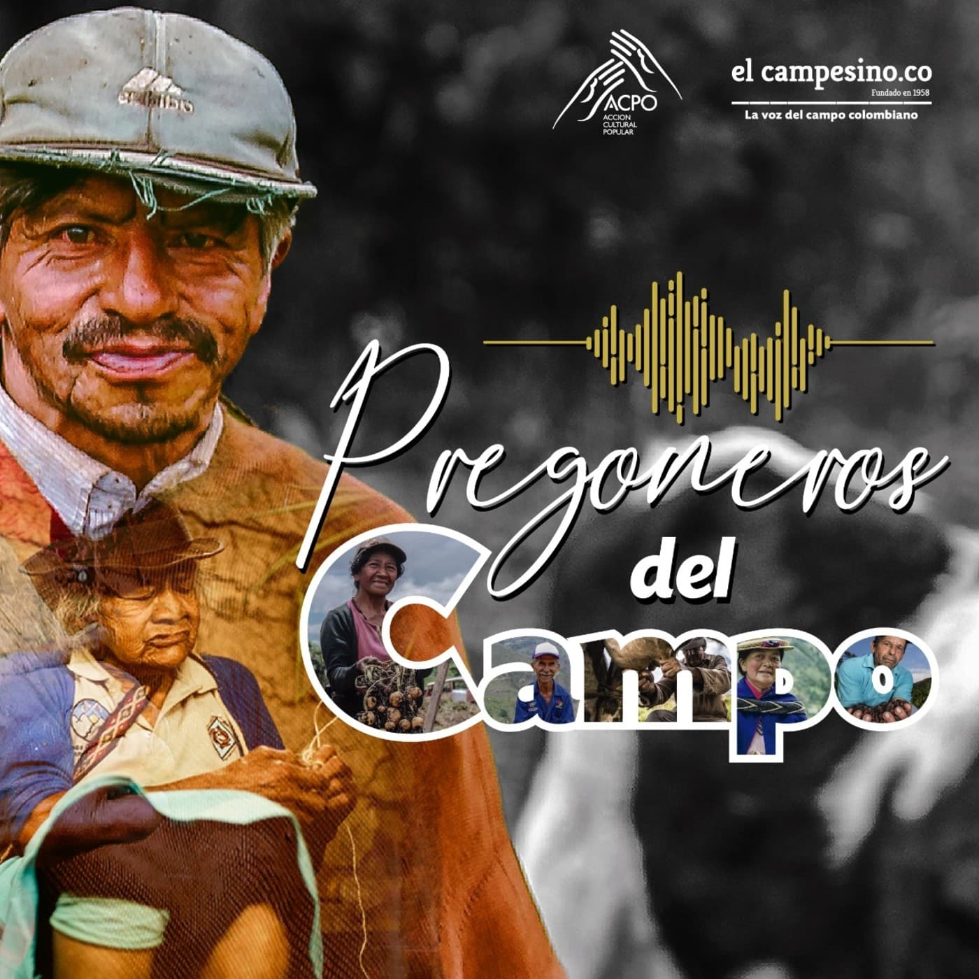 Pregoneros del campo - Podcasts
