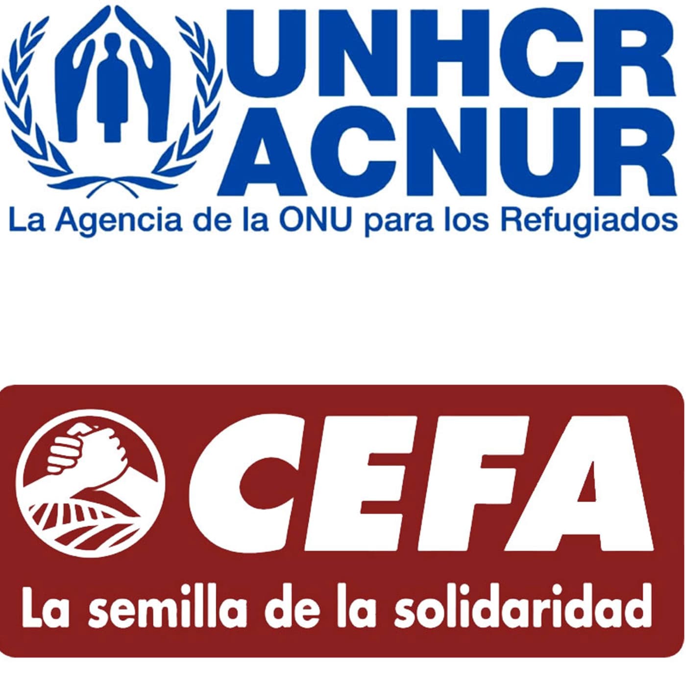 Fortalecimiento a los consejos y Juntas Cantonales - Podcasts